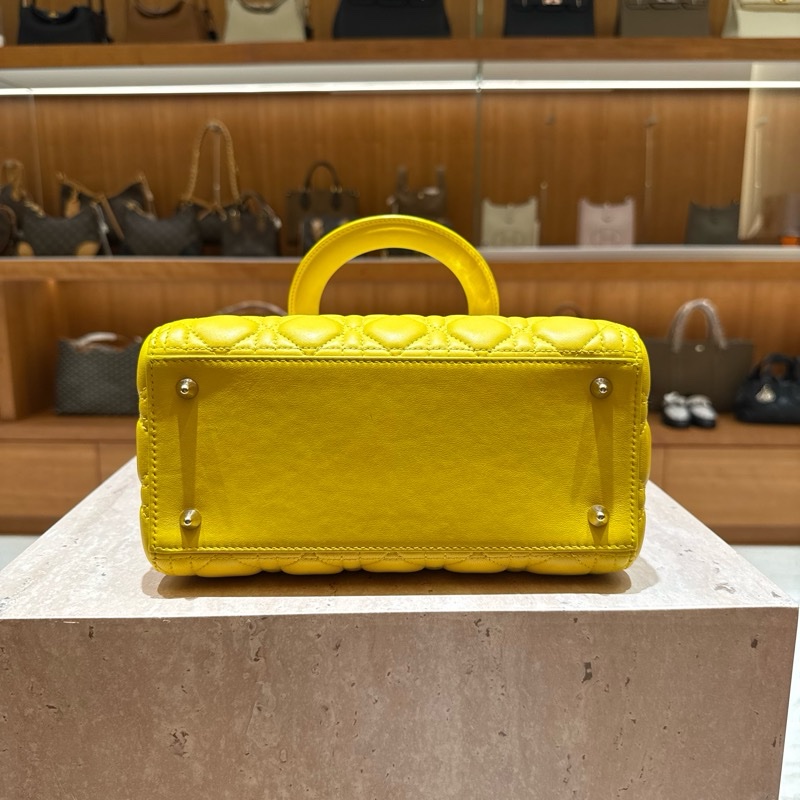 Dior 迪奧 黛妃 五格-3