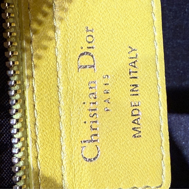 Dior 迪奧 黛妃 五格-4