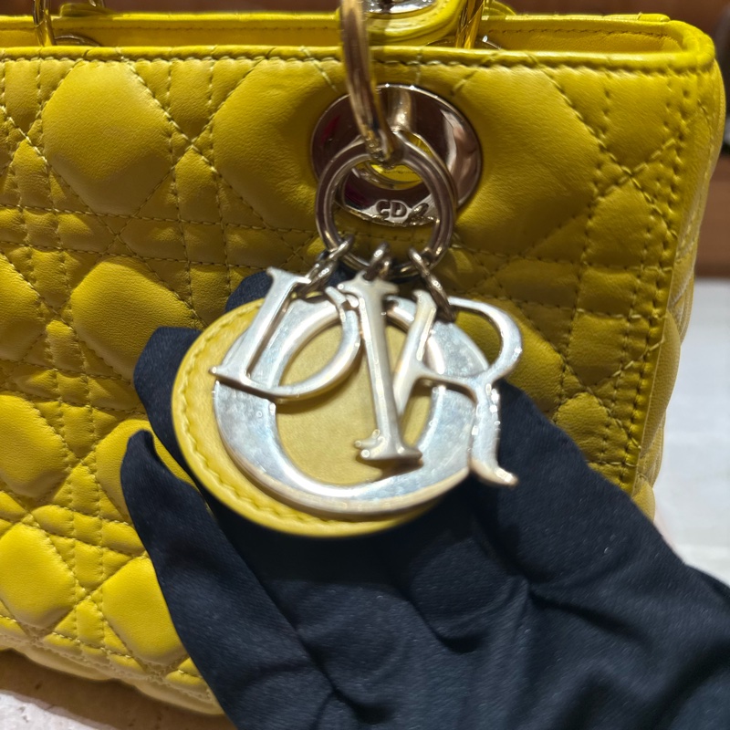 Dior 迪奧 黛妃 五格-5