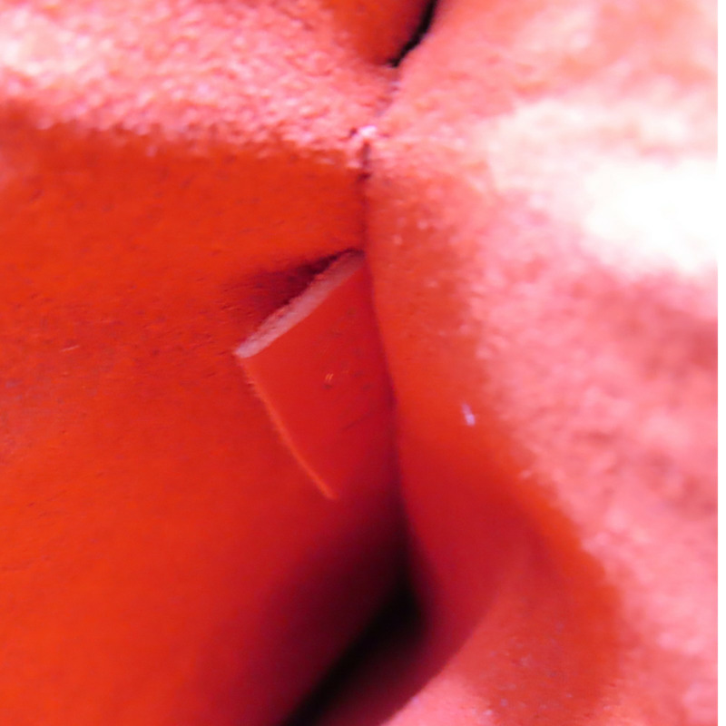 棕/罌粟紅色 原花帆布 牛皮 NeoNoe MM 水桶包 肩背包【LOUIS VUITTON LV 路易威登】 M44021-8