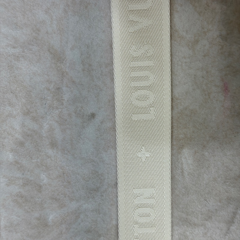 ❗️有上身照片 Louis Vuitton by the pool 24SS度假系列 Speedy 20-35