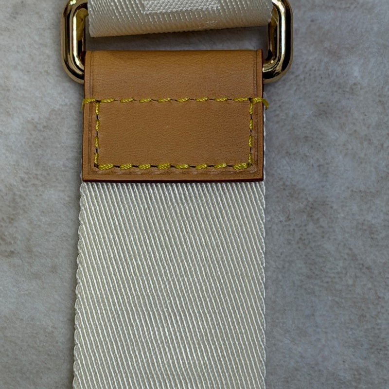 ❗️有上身照片 Louis Vuitton by the pool 24SS度假系列 Speedy 20-49