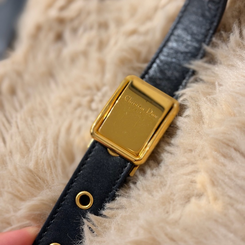 Dior Bobby mini 黑色拋光小牛皮肩背包 側背包-2