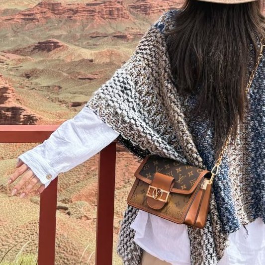 Louis Vuitton - 原花雙色 Dauphine 手提斜背包╻Mini-5