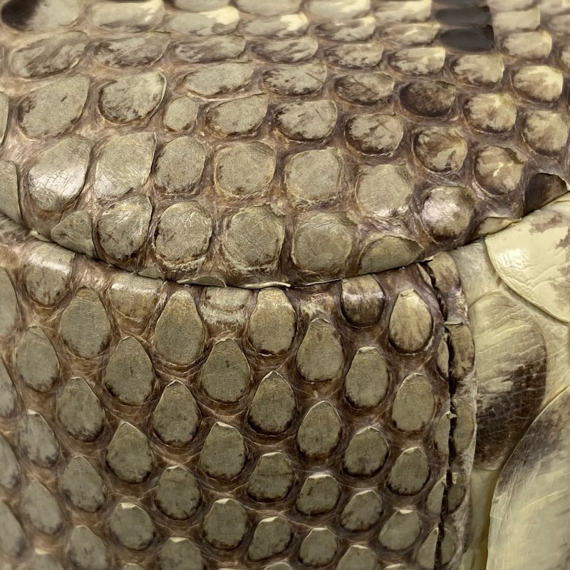 △ Chanel 香奈兒 Beige Python Gold Tone Metal Single Flap Chain 2 Way Bag No.23 米黃色蛇皮金色金屬鎖鏈肩背袋No.23 - 267002286-11