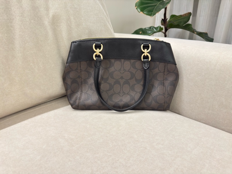 Coach Mini Brooke Carryall 老花 手提包 斜背包-2