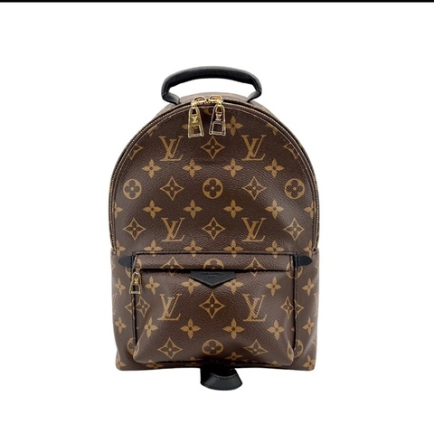 Louis Vuitton PALM SPRINGS拉鍊後背包-PM 新款(M44871)