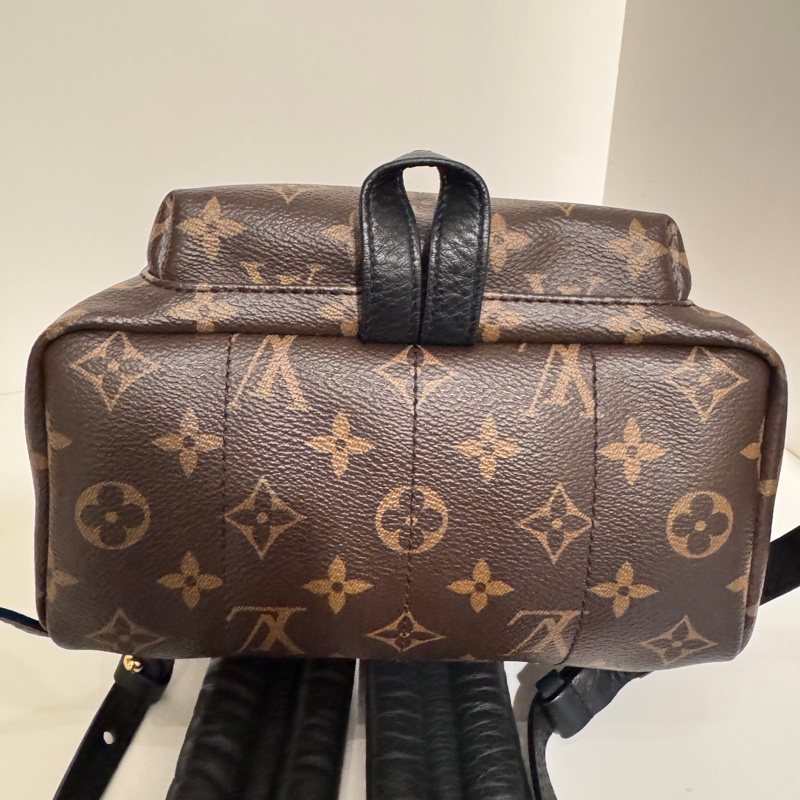 Louis Vuitton PALM SPRINGS拉鍊後背包-PM 新款(M44871)-5