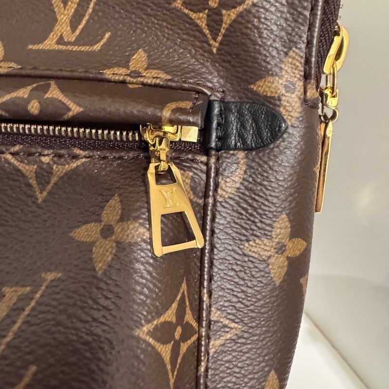 Louis Vuitton PALM SPRINGS拉鍊後背包-PM 新款(M44871)-18