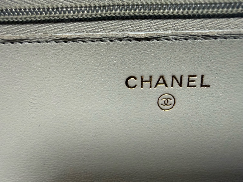 CHANEL CLASSIC WALLET ON CHAIN-7