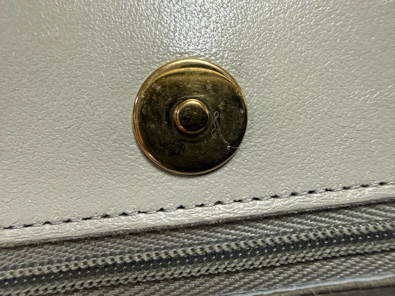 CHANEL CLASSIC WALLET ON CHAIN-8