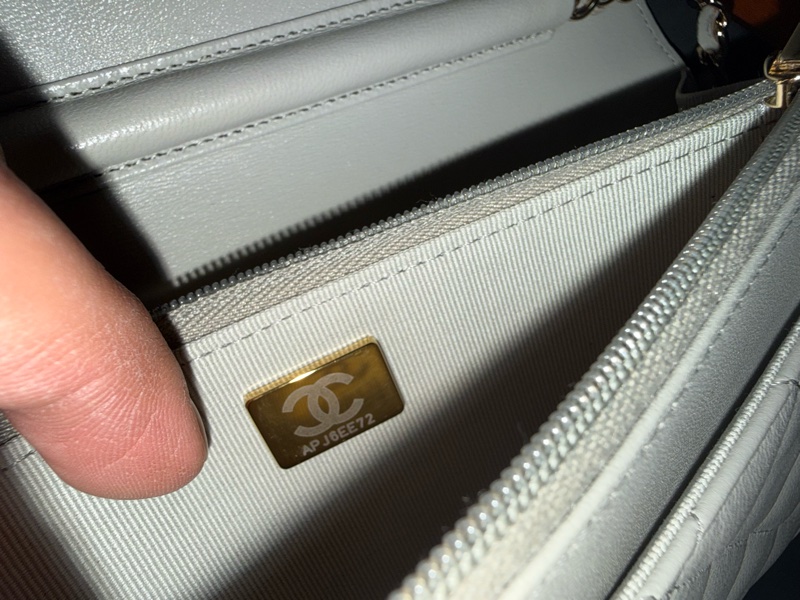 CHANEL CLASSIC WALLET ON CHAIN-12