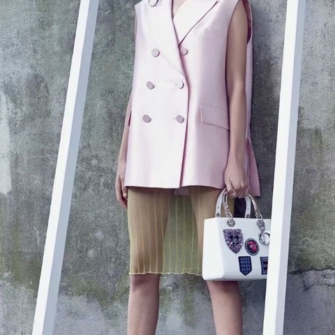 Dior五徽章刺繡限量五格黛妃24*20*12 98新保卡塵袋