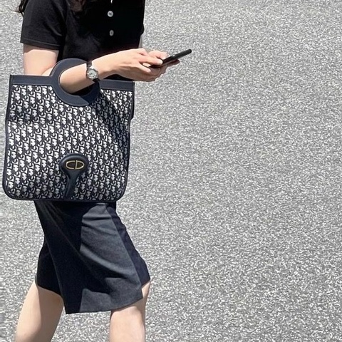 DIOR Oblique老花可折疊手提包38*32 98新配件塵袋保卡