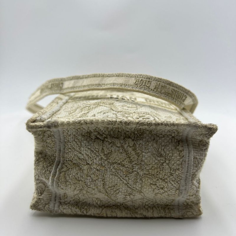 迪奧 Book Tote 迷你豎版琴譜包-17