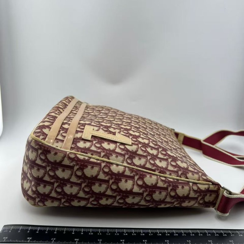 迪奧 Oblique 老花郵差包-3