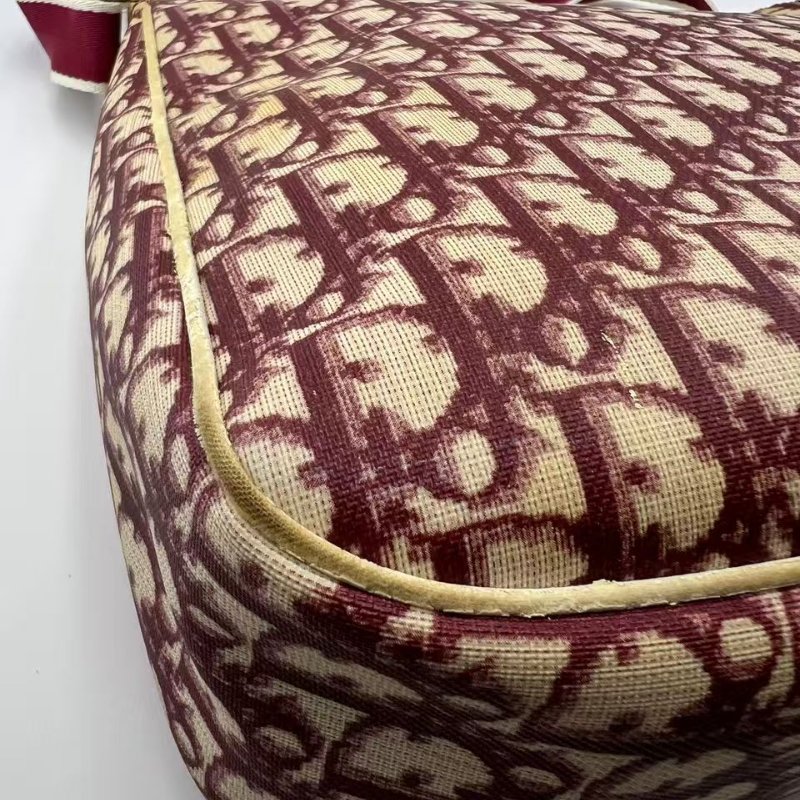 迪奧 Oblique 老花郵差包-11