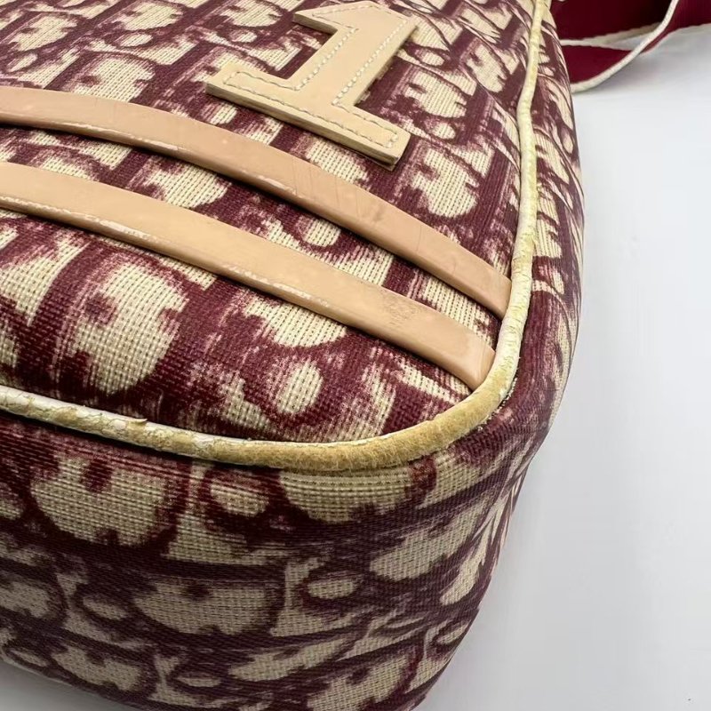 迪奧 Oblique 老花郵差包-12