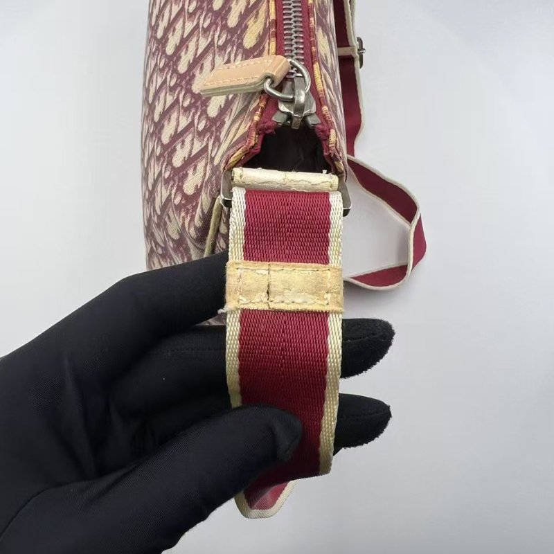 迪奧 Oblique 老花郵差包-20