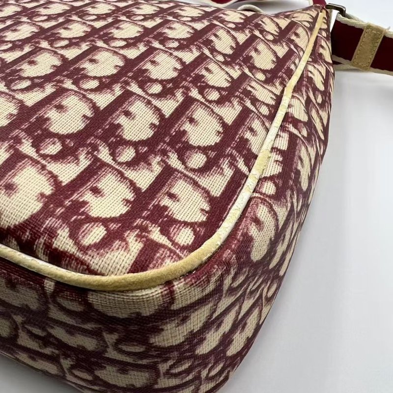 迪奧 Oblique 老花郵差包-21