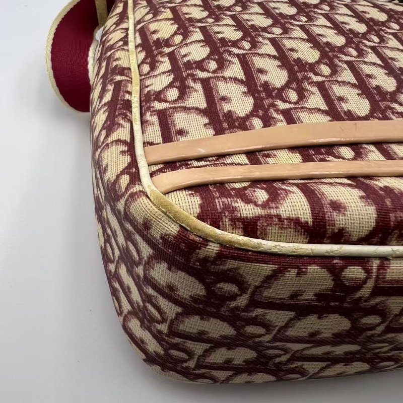 迪奧 Oblique 老花郵差包-25