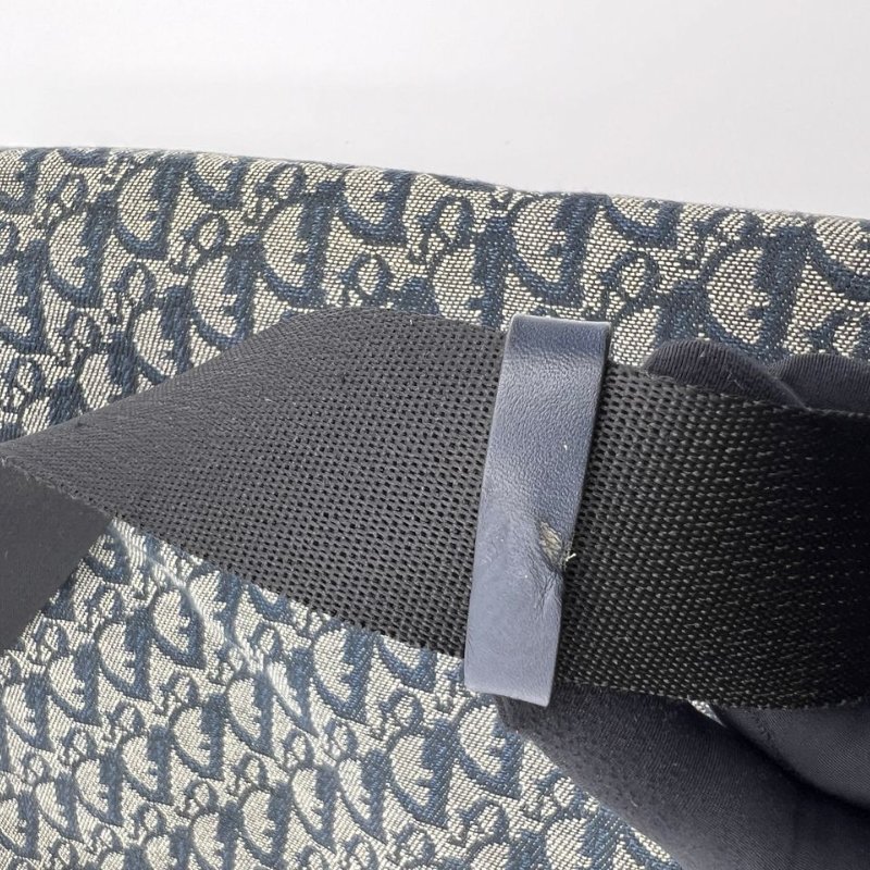 迪奧 Oblique 老花帆布郵差包-15