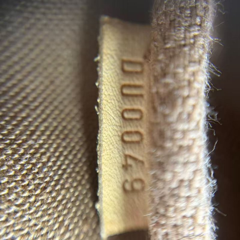 路易威登 Eva 老花鏈條包-6