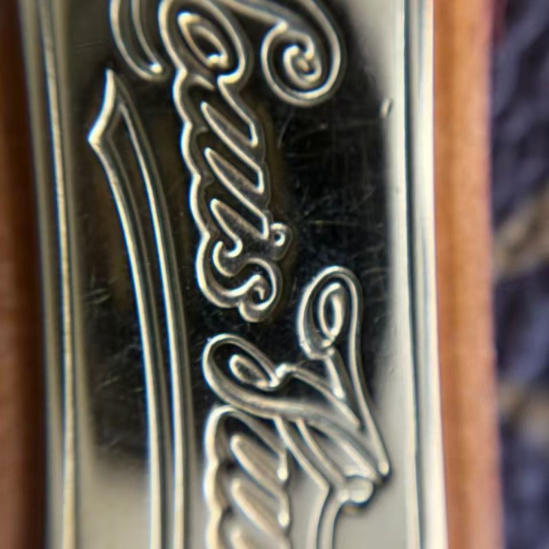 路易威登 Eva 老花鏈條包-16