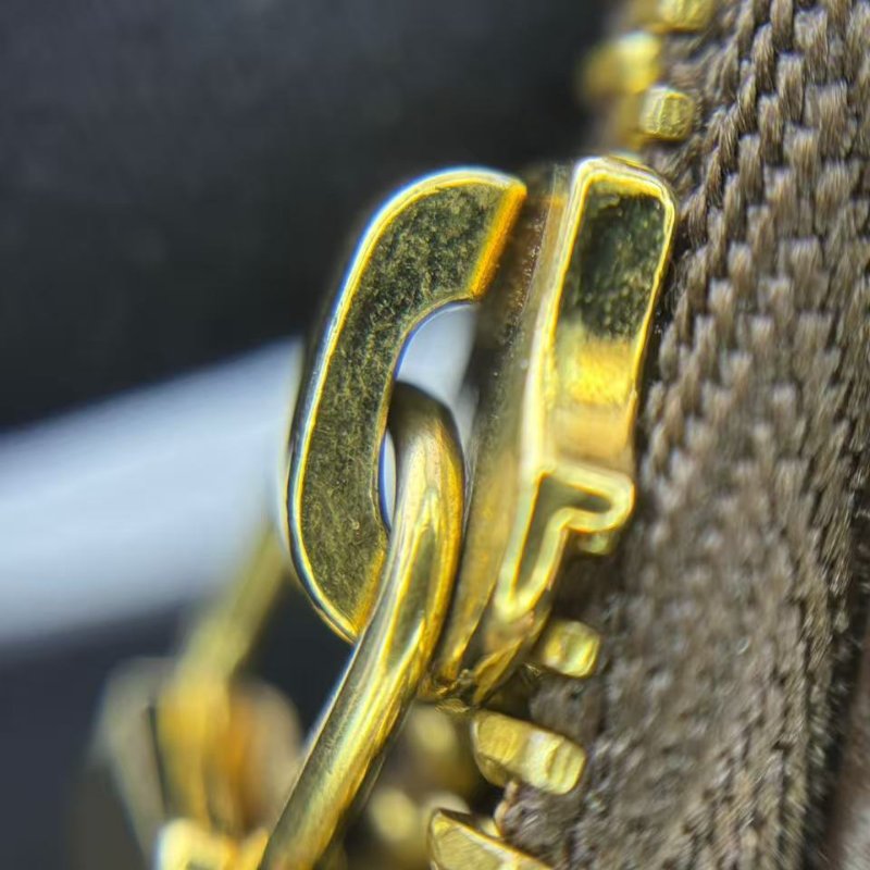 路易威登 Eva 老花鏈條包-20