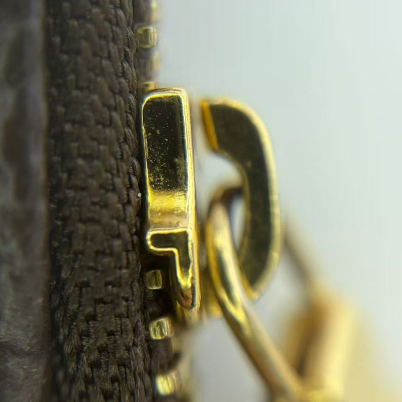 路易威登 Eva 老花鏈條包-21