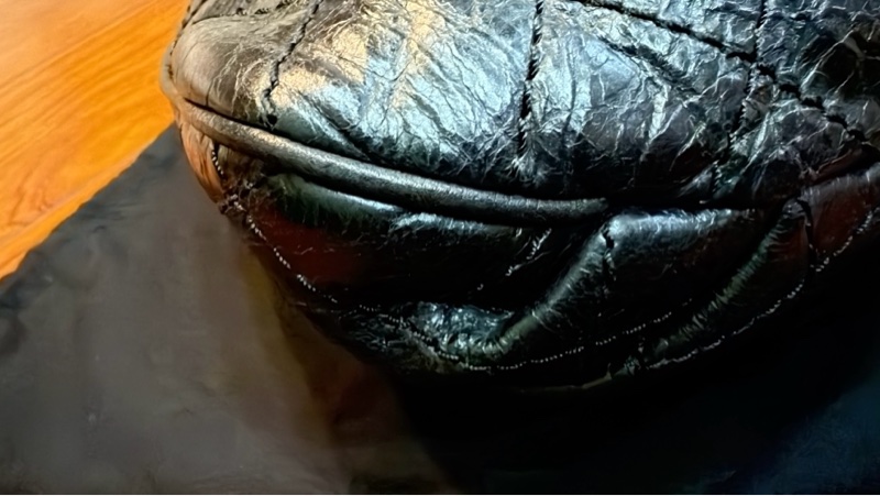 chanel兩用鏈條包/小包/肩背包/斜背包/黑色/日常/油蠟/荔枝/小香/香奈兒-11