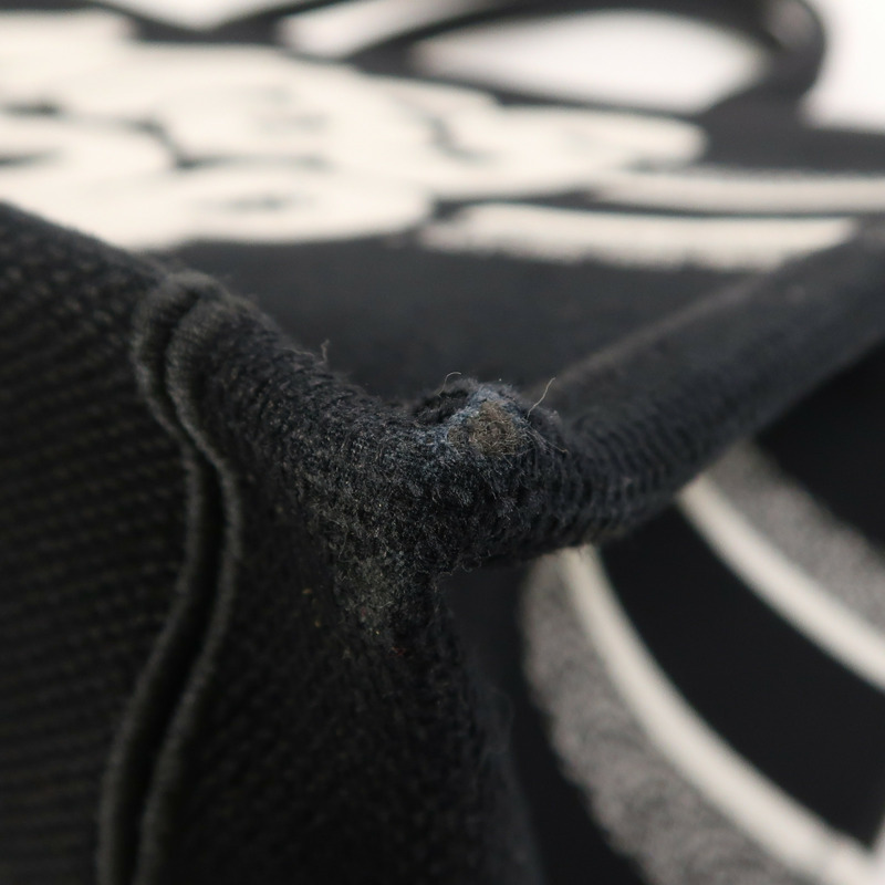 Dior 帆布Book Tote手挽袋-8