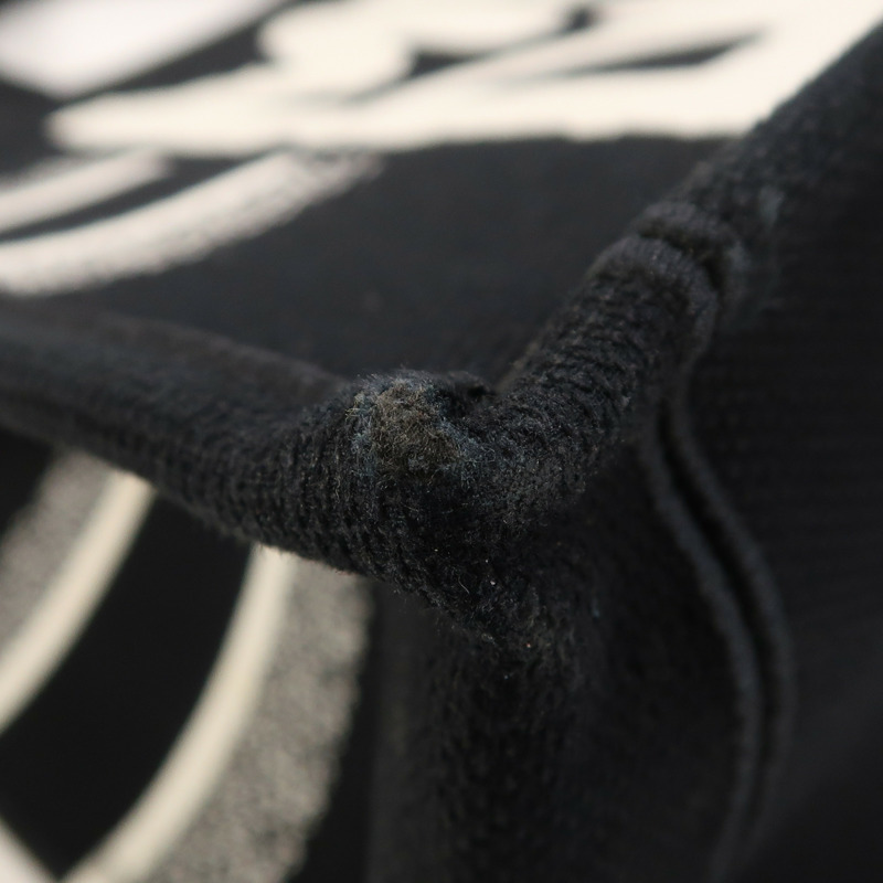 Dior 帆布Book Tote手挽袋-9