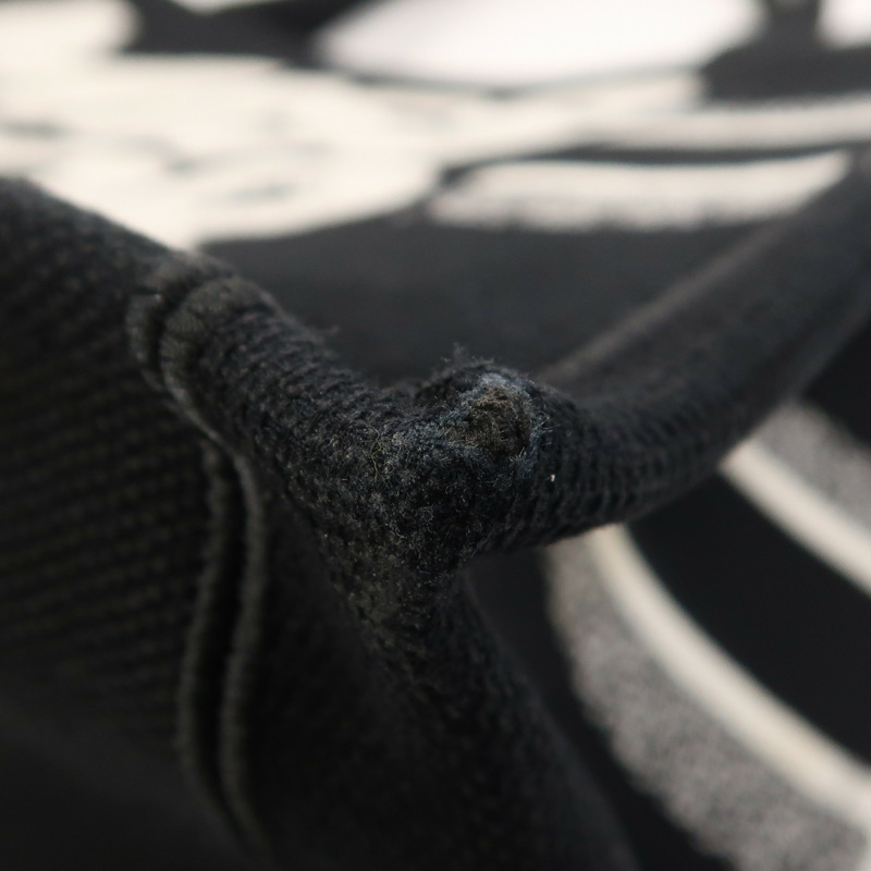 Dior 帆布Book Tote手挽袋-10