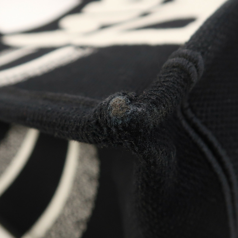 Dior 帆布Book Tote手挽袋-11