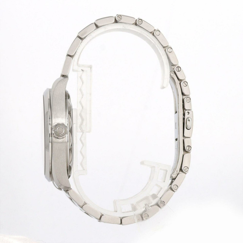 歐米茄海馬系列Aqua Terra 220.10.38.20.01.001 不鏽鋼自動腕錶-2