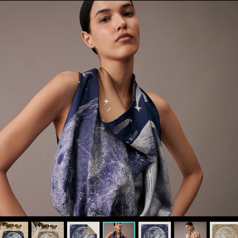 全新 HERMÈS 愛馬仕 Clair de Lune "月光飛馬" 90雙面方巾-6