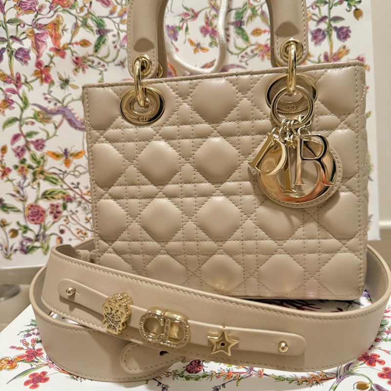 Small Lady Dior My ABCDior Bag-11