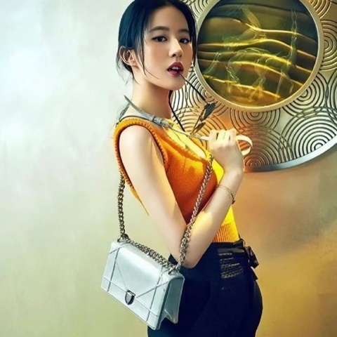 Dior diorma 盾牌包 藤格紋經典款 霧霾藍色小牛皮銀扣24.5*16*5  98新配件塵袋