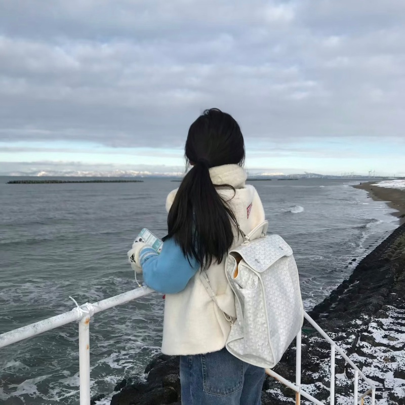 GOYARD 經典saintlegarY字滿印可折疊白色後背包33.5*36*15 98新配件塵袋-0