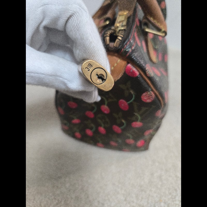 Louis Vuitton LV speedy 25 櫻桃包 絕版現貨🍒 LV x 村上隆 聯名限量 櫻桃包 Speedy 25-18