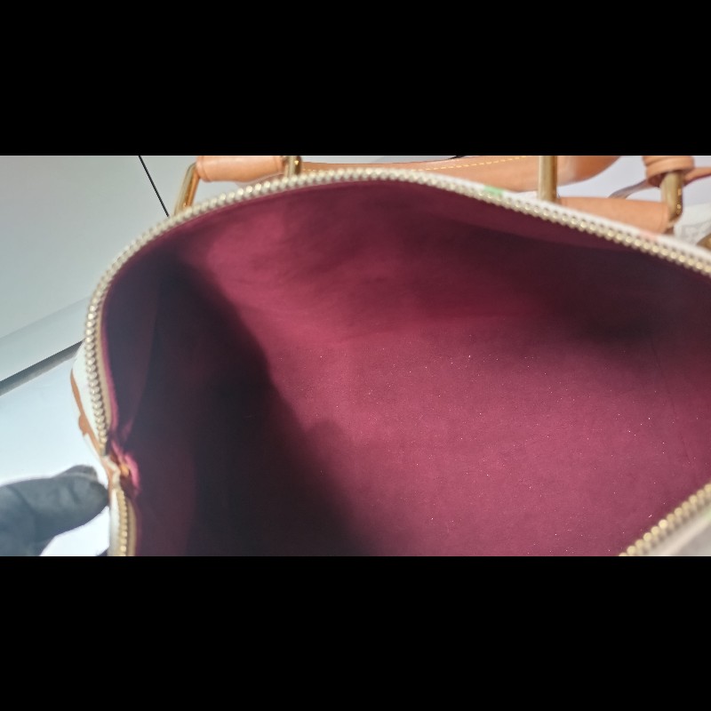 LV 絕版白彩波士頓包 speedy 30 村上隆系列-17