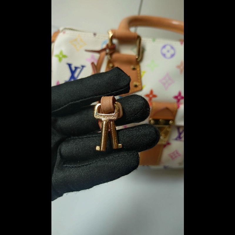 LV 絕版白彩波士頓包 speedy 30 村上隆系列-27