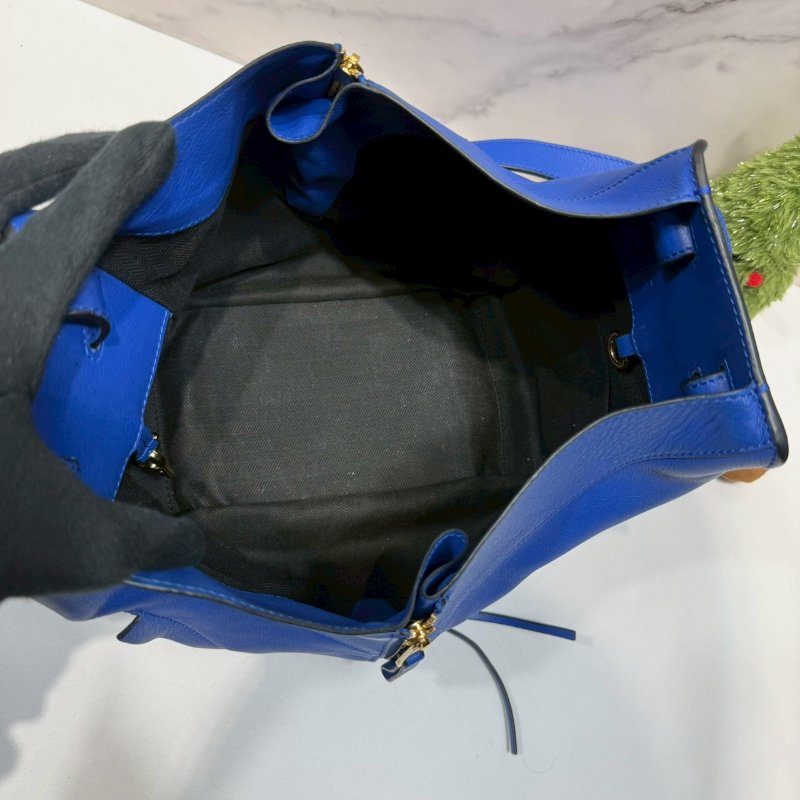 LOEWE 皇家藍中款吊床包-4