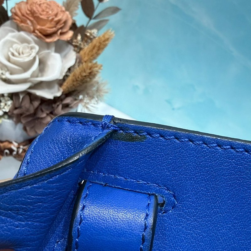 LOEWE 皇家藍中款吊床包-5