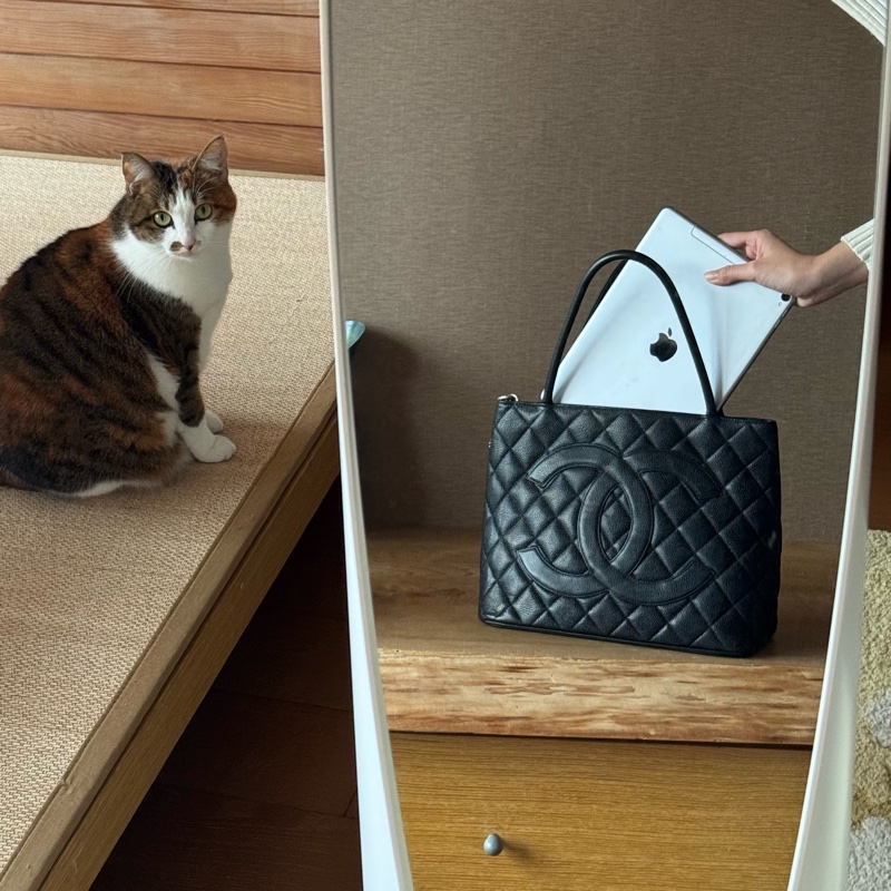 Chanel 銀幣魚子醬希爾頓手提包 9.5成新-4