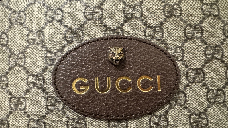 Gucci虎頭相機包-15