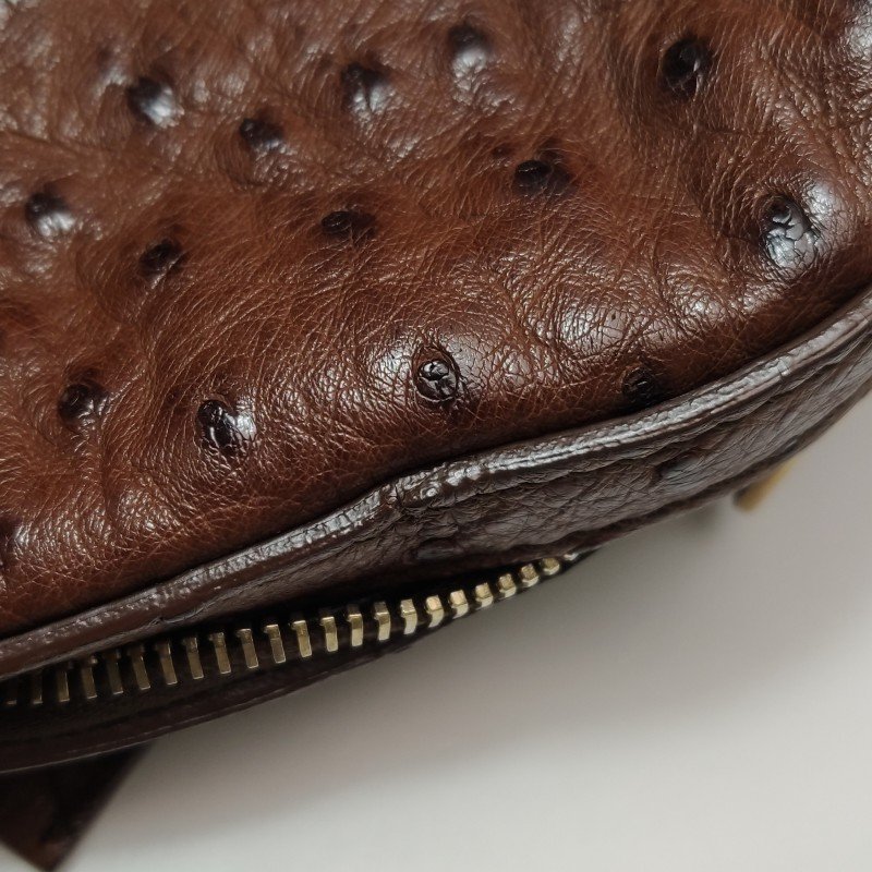 Saint Laurent Muse鴕鳥皮純色金屬鎖扣拉鏈手提包-24