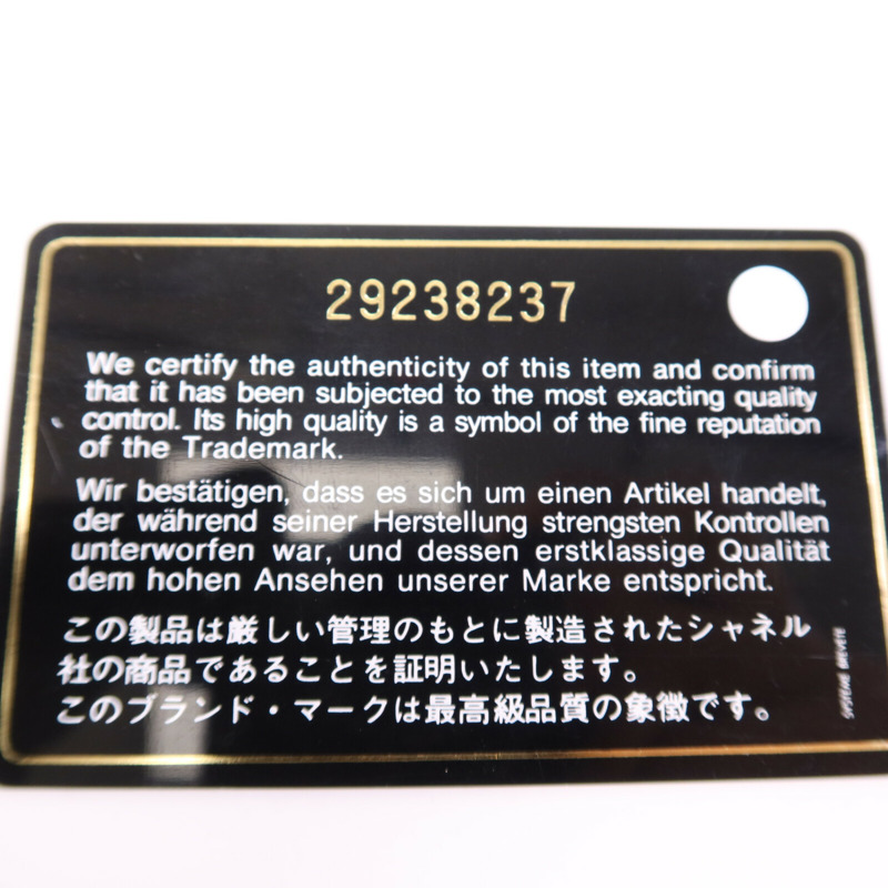 CHANEL 羊皮皮革Vanity Case肩背袋-16