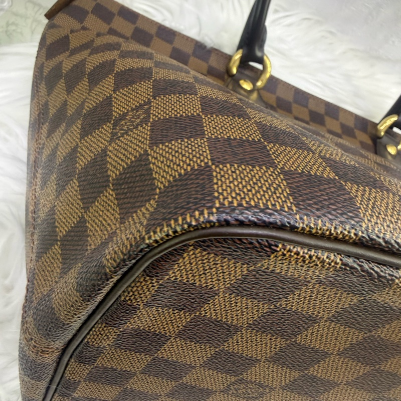 Louis Vuitton Saleya Tote Bag-16